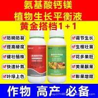 兩個(gè)0.3%黃金搭檔【正品】(植物生長(zhǎng)平衡液+氨基酸鈣)高產(chǎn)水溶肥